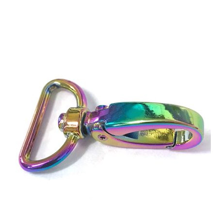 Taschenkarabiner 25  mm, regenbogen