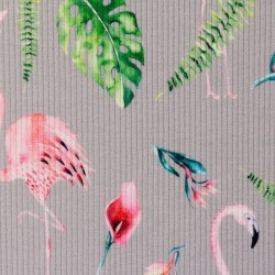 Rippjersey Mia - Flamingos