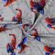 French Terry Melange - Spider-Man