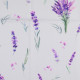 Canvas - Lavendel