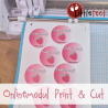 Silhouette Onlinemodul: Print & Cut