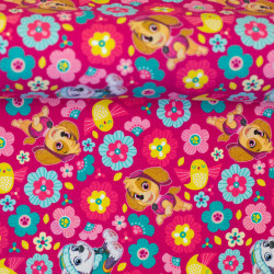 Baumwolljersey Paw Patrol - Skye & Everest beere