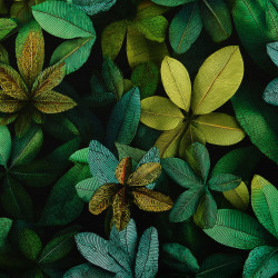 French Terry geraut - Blätterwerk