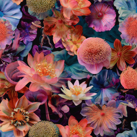 French Terry geraut - Blütenpracht