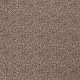 Baumwolljersey Leo