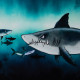French Terry Panel Shark Tank Thorsten Berger - Haie gross