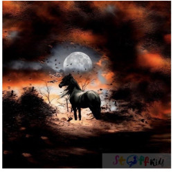 Sommersweat Panel Stoffkids - Pferd (in der Nacht)