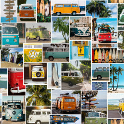 VW Malibu Lagune, Half Panama