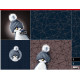 On the Rocks "Pinguin" - Kissenpanel by Thorsten Berger