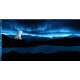 On the Rocks "Eisbär mit Sternenhimmel" Panel - Sweat by Thorsten Berger