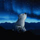 On the Rocks "Eisbär mit Sternenhimmel" Panel - Sweat by Thorsten Berger