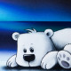 On the Rocks "Eisbär mit Polarlicht" Panel - Sweat by Thorsten Berger