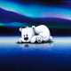On the Rocks "Eisbär mit Polarlicht" Panel - Sweat by Thorsten Berger